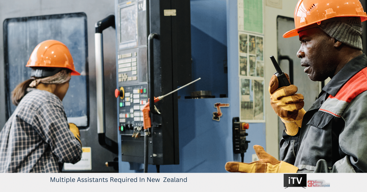 Multiple Assistants Required In New Zealand - itv.easyreciepes.com